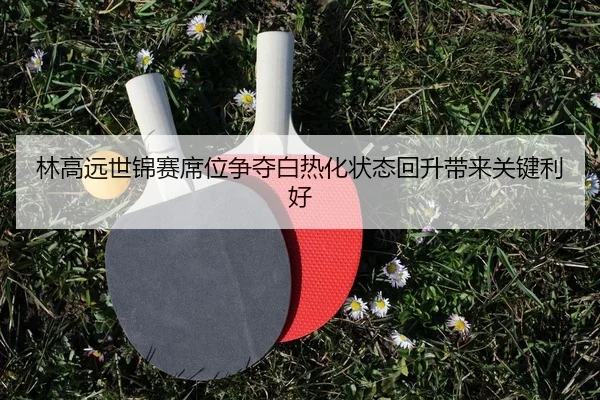 林高远世锦赛席位争夺白热化状态回升带来关键利好